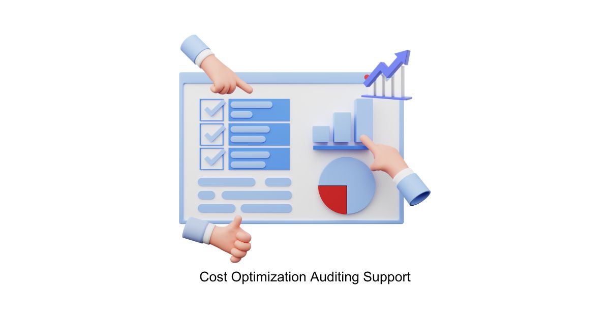 Cost Optimization Auditing Support in BPO Accounts Payable (AP)