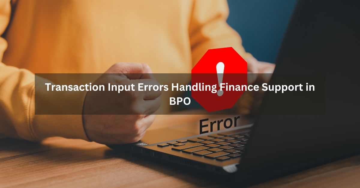 Transaction Input Errors Handling Finance Support in BPO