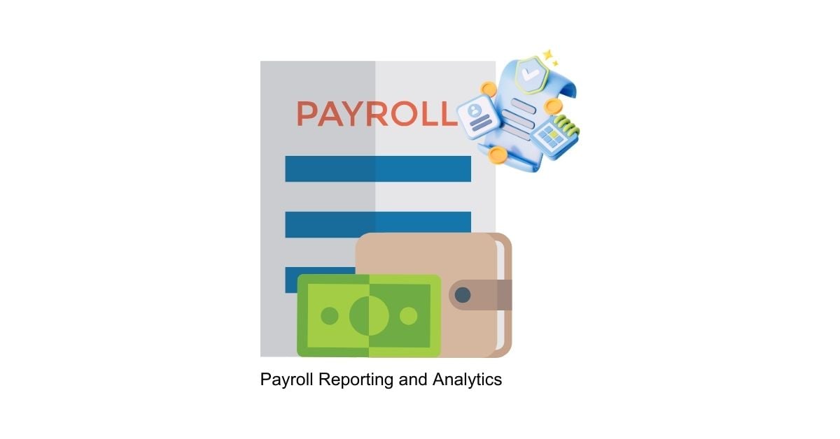 Payroll Reporting and Analytics Finance Support in BPO